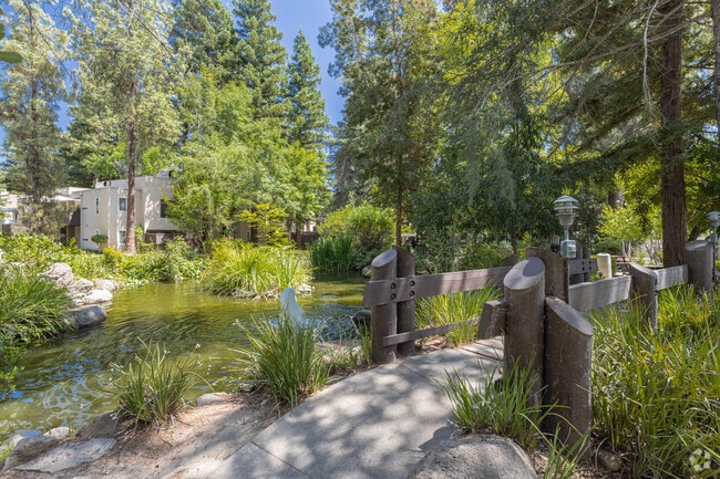 Pond