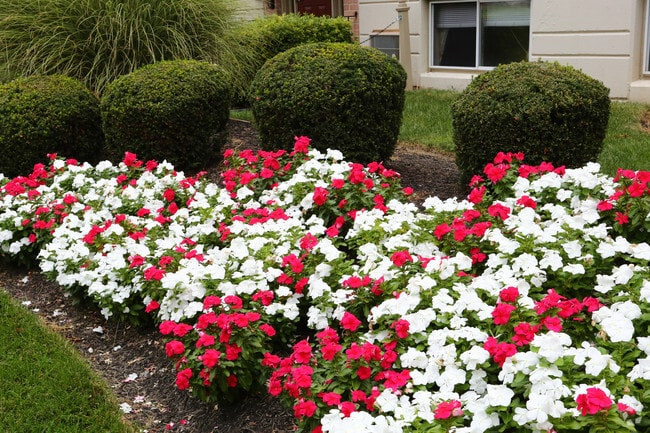 Photo - Presidential Square Apartments