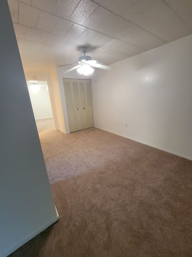 Carol Shamrock Apartments