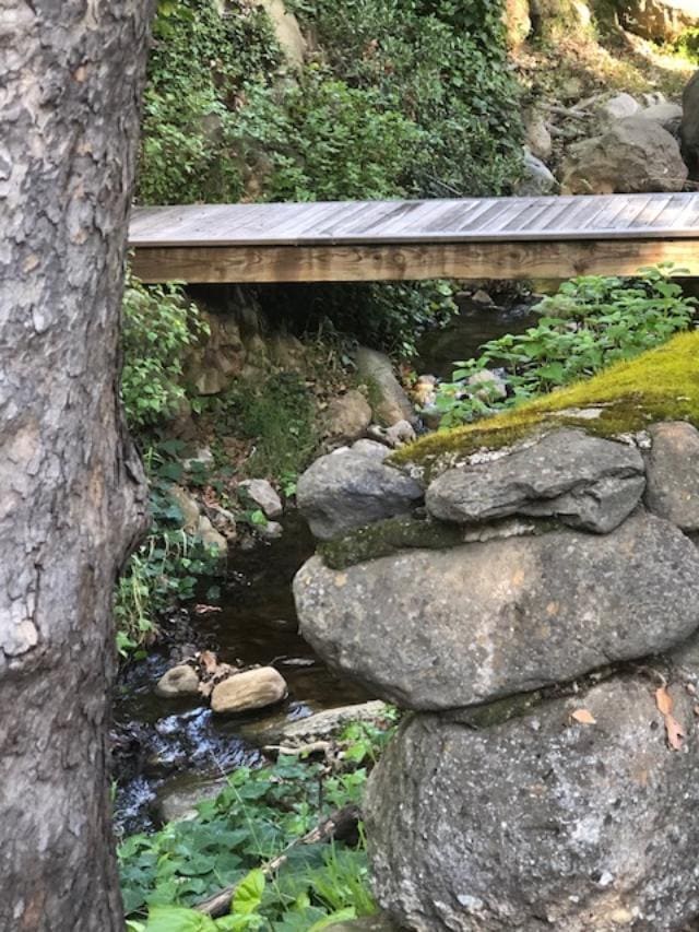 Photo - 25605 Wildwood Dr