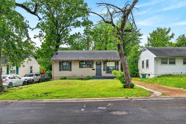 Photo - 368 Cameron Rd