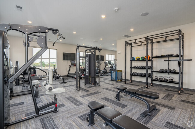 Fitness