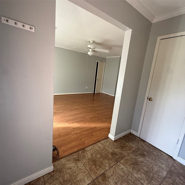 509 Avondale Ln