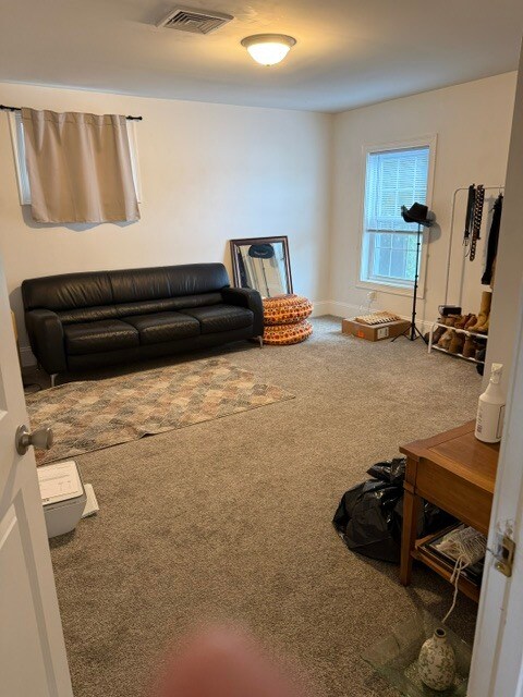 2nd bedroom or study - 231 Lake Ave Unit 1