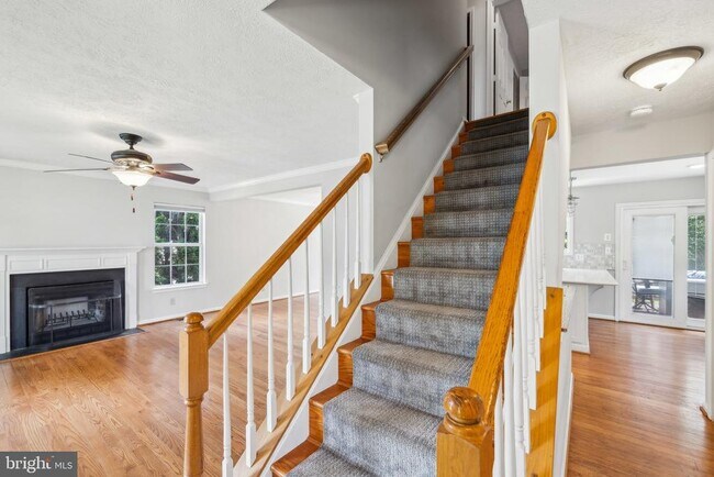 Photo - 14 St Peters Ct