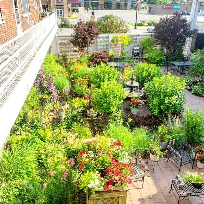 Courtyard/Zen Garden