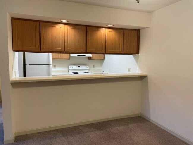 Kitchen Snack Bar- New Cabinets