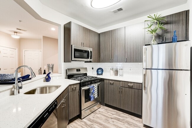 Photo - Regent's Park