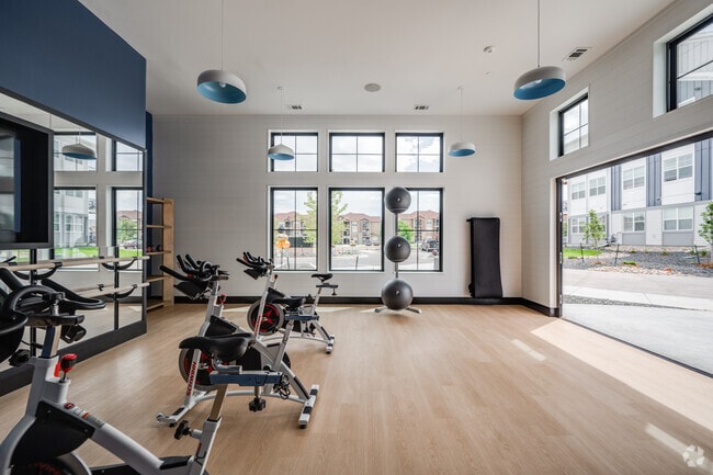Movement Studio