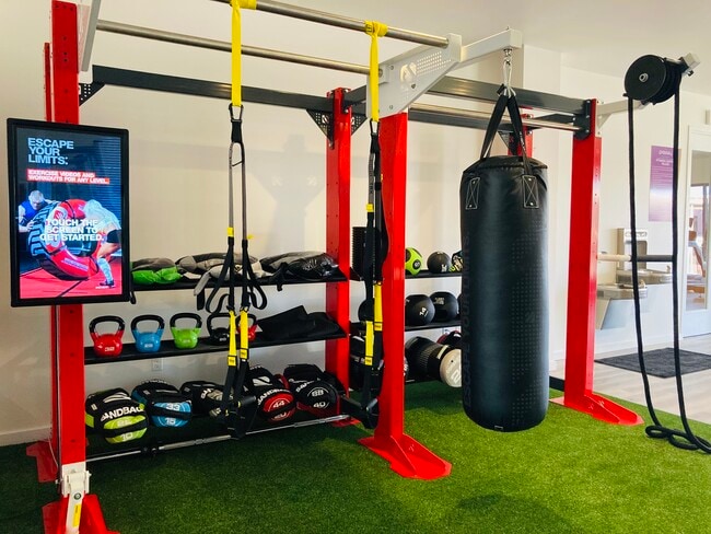 Modern Gym