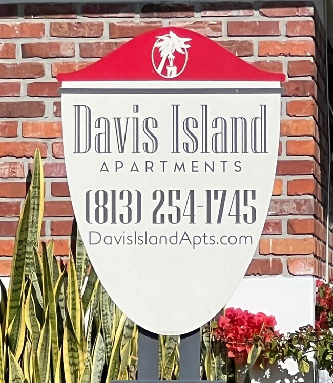 Davis Islands Apartments For Rent in Tampa, FL