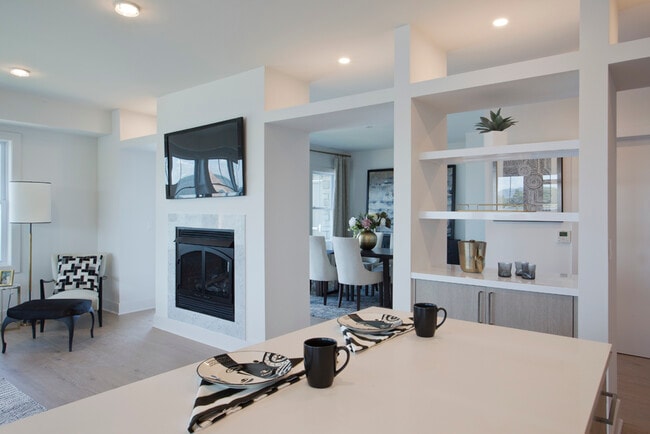 Double-Sided Gas Fireplace