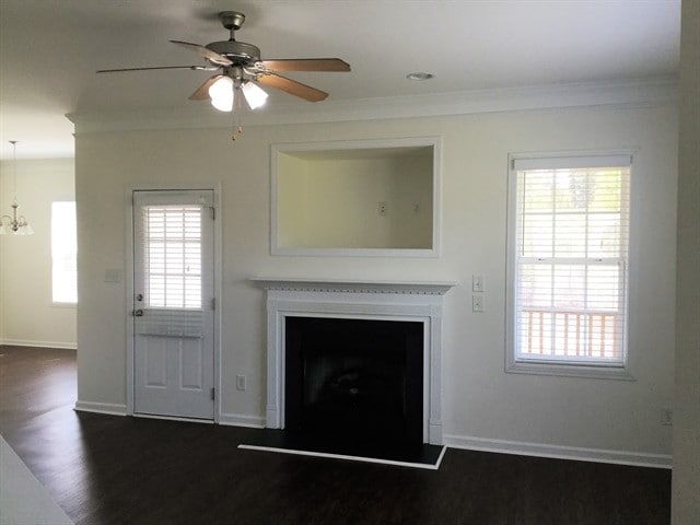 Photo - 3912 Carolina Cherry Dr
