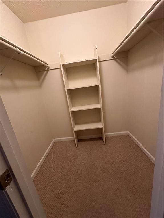 Photo - 707 Beaufort Cir