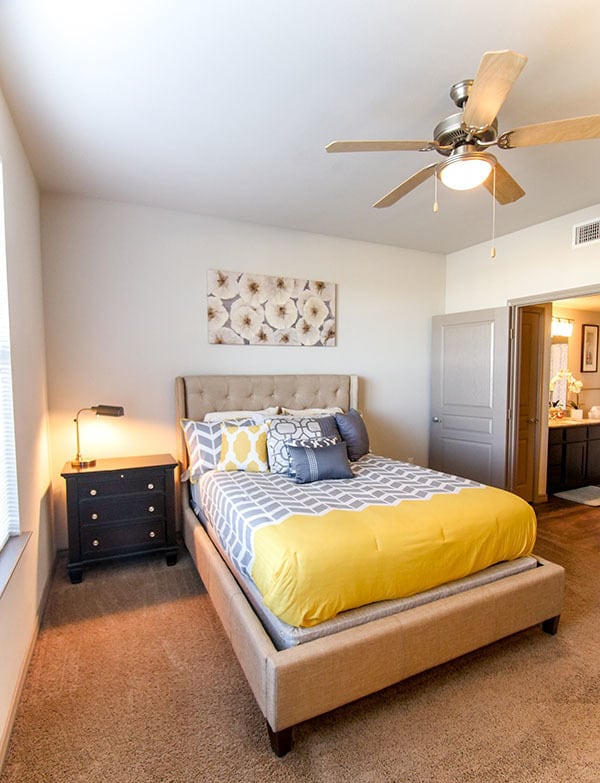 Photo - Anatole on Briarwood