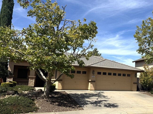 Building Photo - 1033 Halidon Way