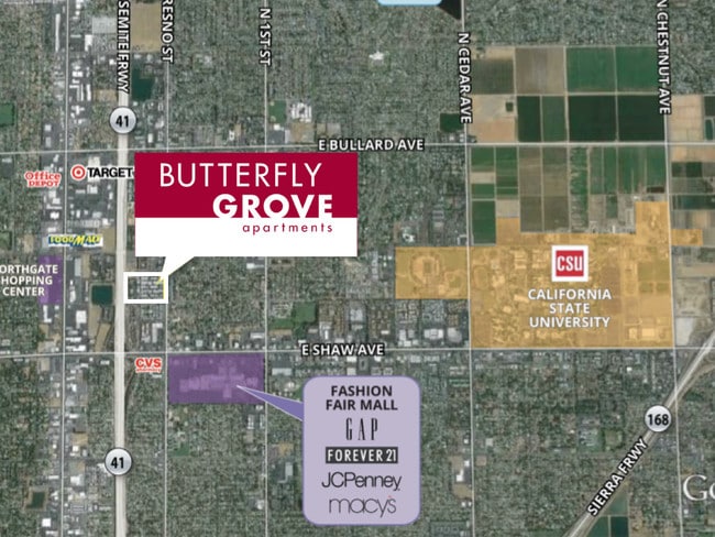 Photo - Butterfly Grove