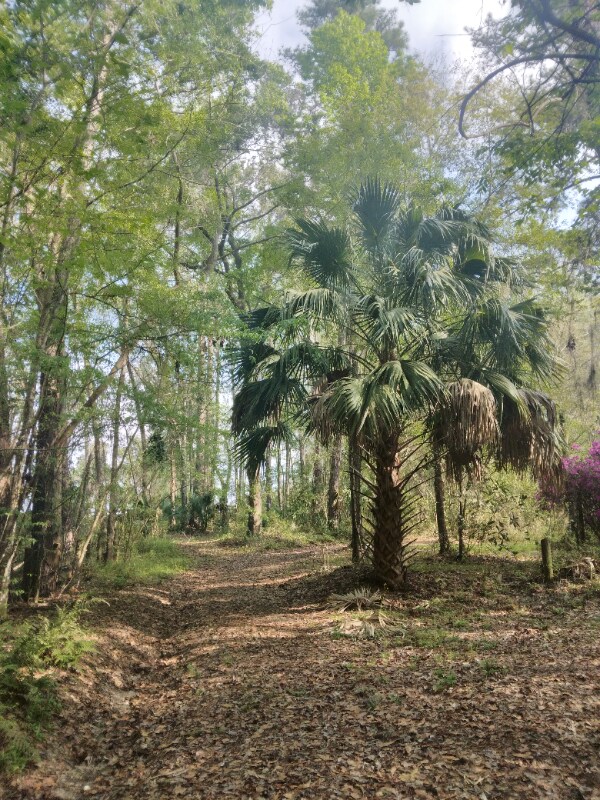 Photo - 8035 NW 120th St