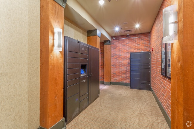 The Shelby Apartments For Rent in Seattle, WA