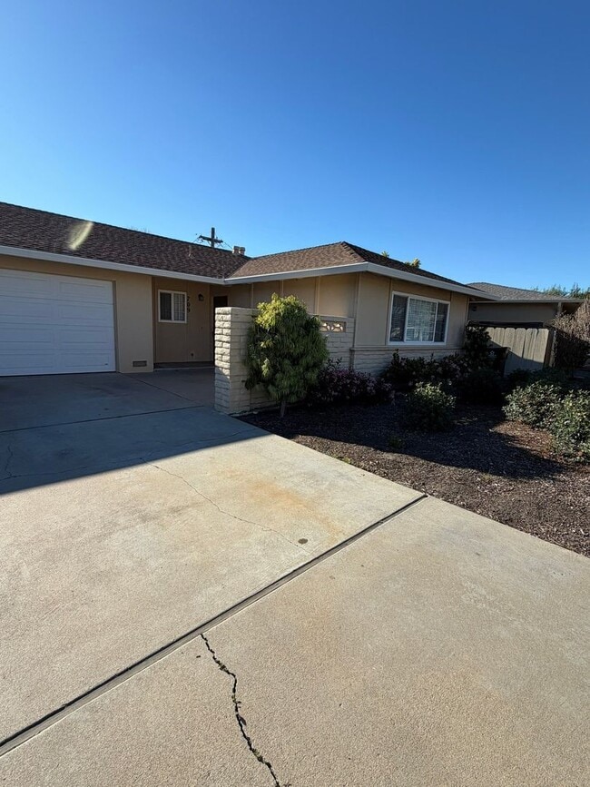 Building Photo - 707-709 Via Maria Unit #709