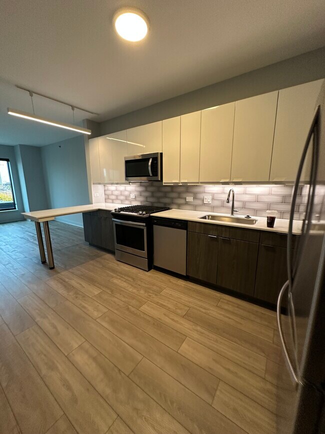 1023 W Addison St Unit CStudio