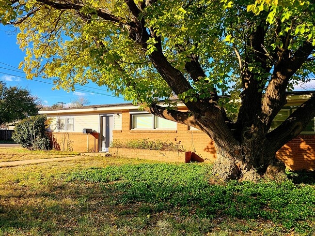 Photo - Charming Two Bed One Bath Near Texas Tech