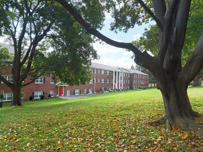 Wide Open Outdoor Area Surrounding the Apartments