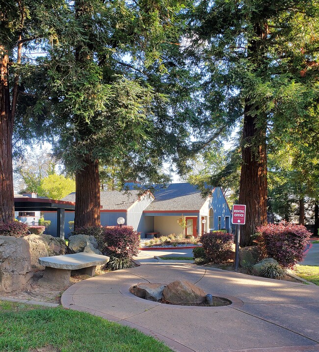 Through the woods to the leasing office!