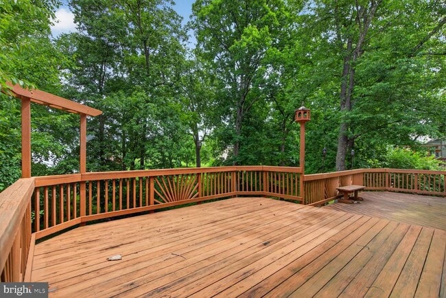 Photo - 10545 Winged Elm Cir