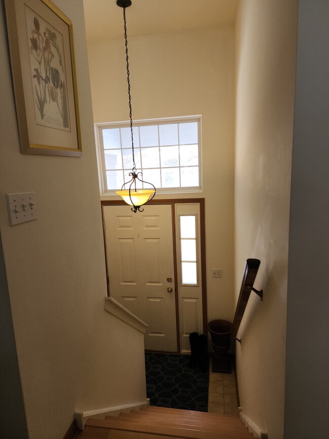 Photo - 1542 Sauganash Ct