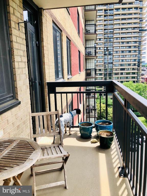 Building Photo - 801 N Pitt St Unit 901
