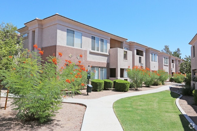 Desert Vista