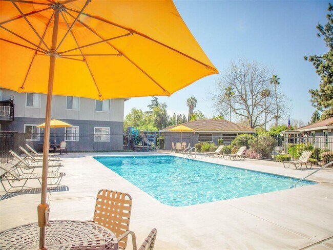 Pool With Sunning Deck