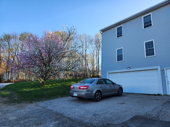 Photo - 1 Rosamond St