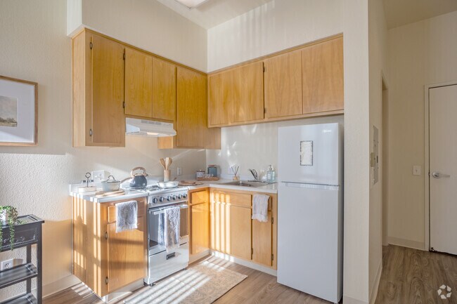 Studio - 265SF - Kitchen