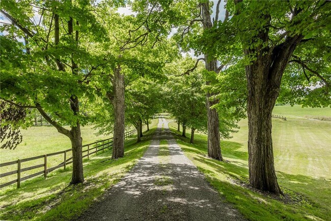 Photo - 1517 County Rd 83