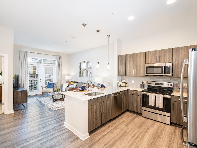 Open Concept Kitchen & Living Room - Overture Greenville	 55+ Active Adult Apar...