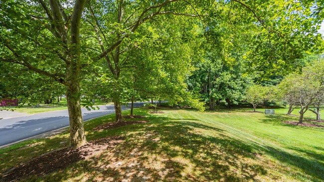 Photo - Hunters Woods