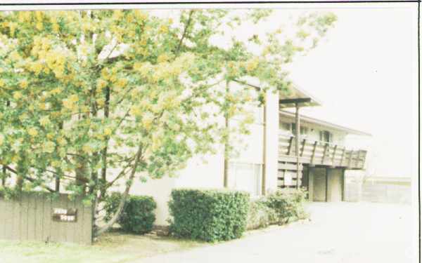 3039-3047 Alma Street - 3039-3047 Alma Street Apartments