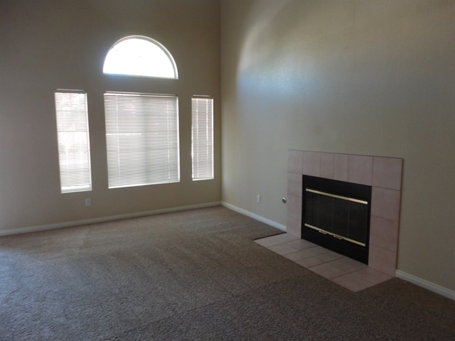 Photo - 207 Luninborg St