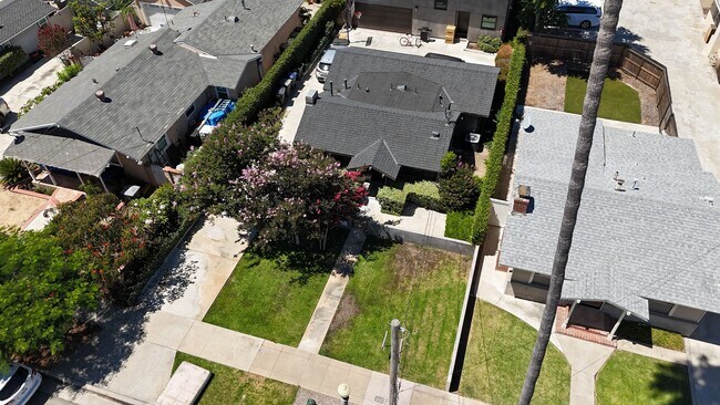 Photo - Olive (468-470) Unidad Olive (468)-Front