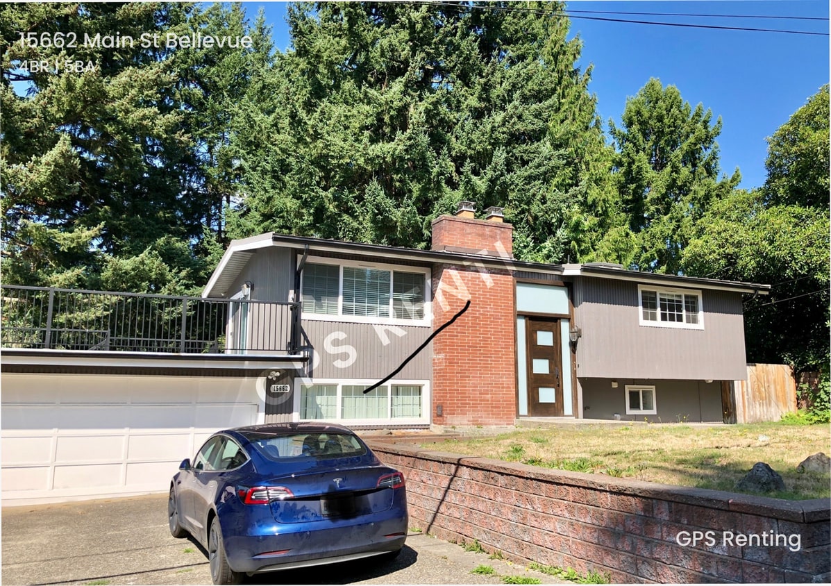 Lake Hills home with contemporary flair! - Lake Hills home with contemporary flair!