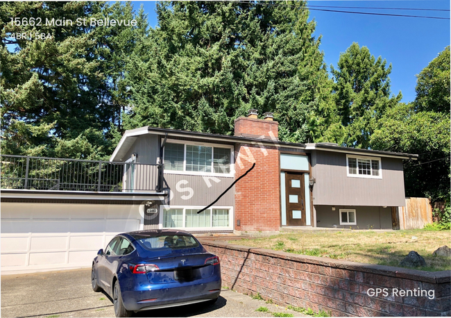 Lake Hills home with contemporary flair! - Lake Hills home with contemporary flair!
