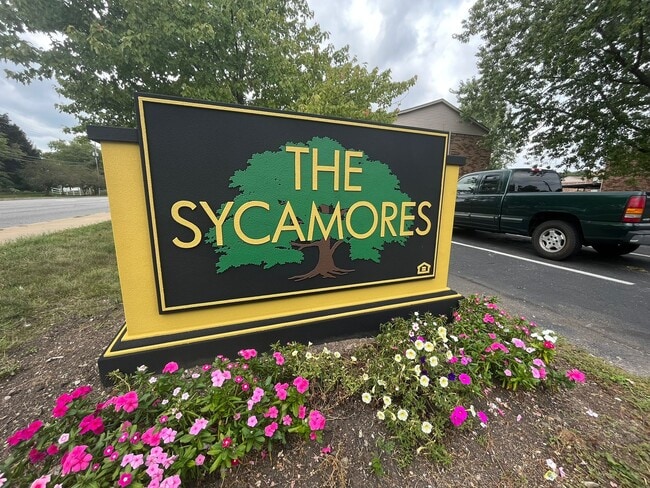 The Sycamores - The Sycamores Apartments