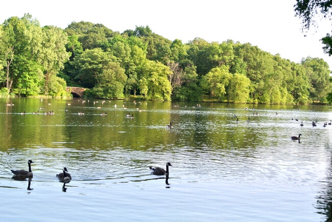 Photo - 77 Pond Ave Unit PH