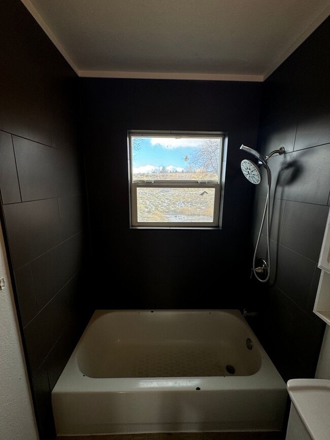 Photo - 2 Bed 1 Bath with Large Yard