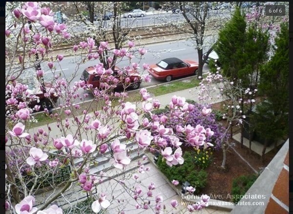 Photo - 1933 Commonwealth Ave Unit 610