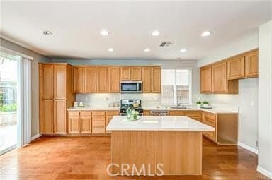 1019 Autumn Leaf Ct