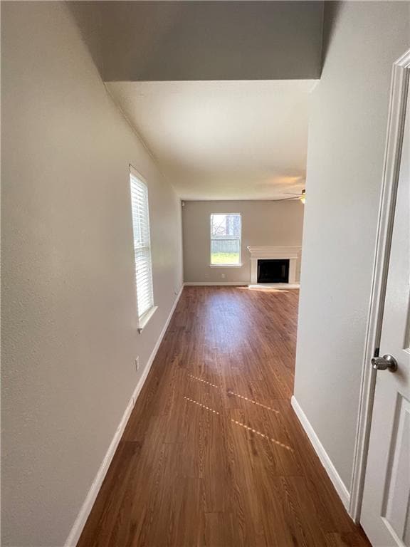 Photo - 110 Cotton Creek Way