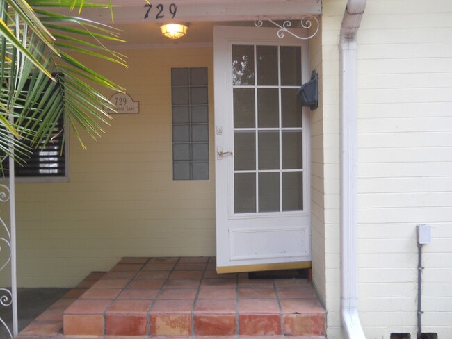 steps leading up to 9 panel front door. - 729 Braidwood Ln